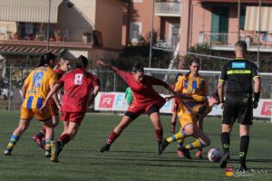 IMG_3898
